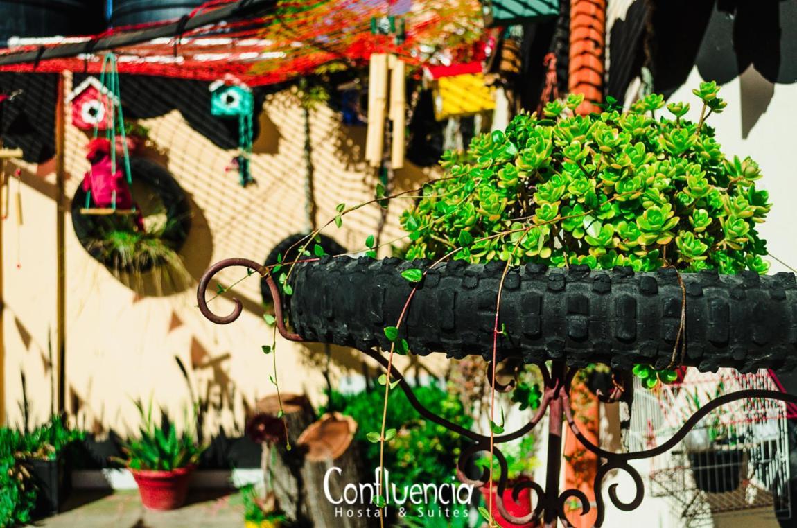 Hostal Confluencia Мендоса Экстерьер фото